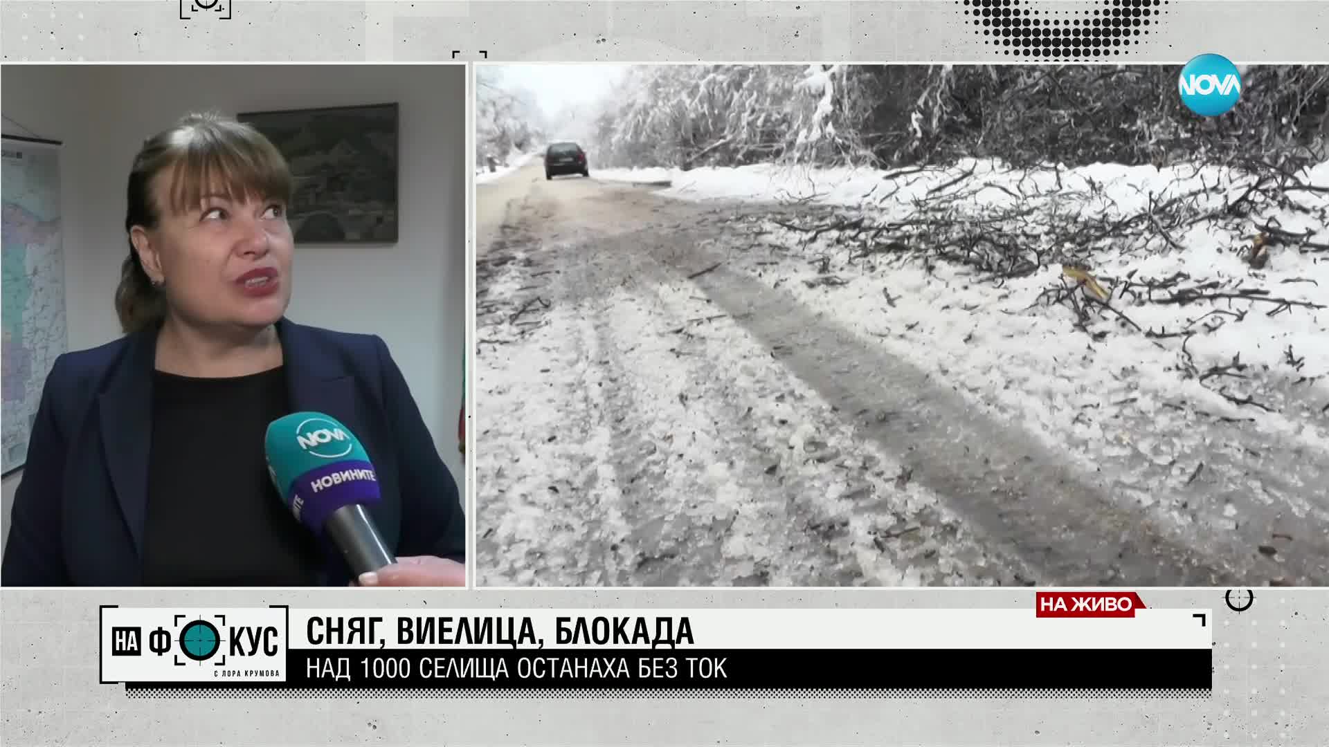 СНЯГ, ВИЕЛИЦА, БЛОКАДА: Над 1000 населени места останаха без ток