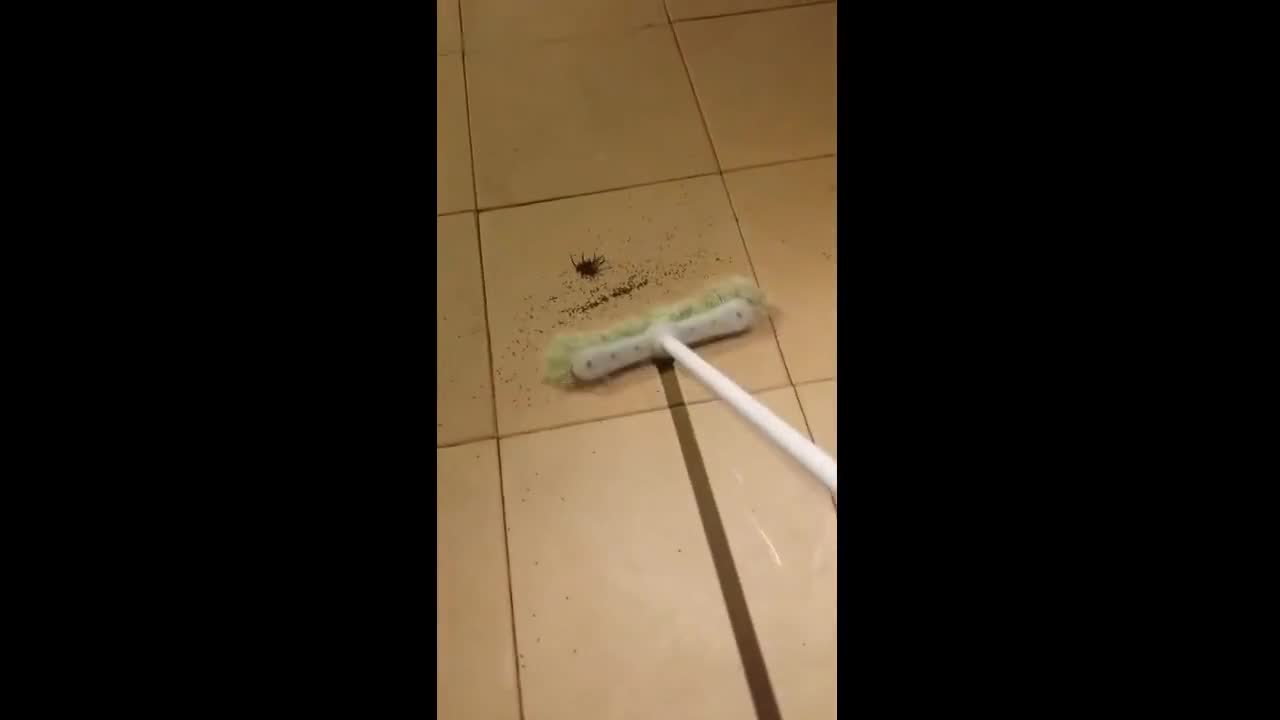 Какво беше а какво стана