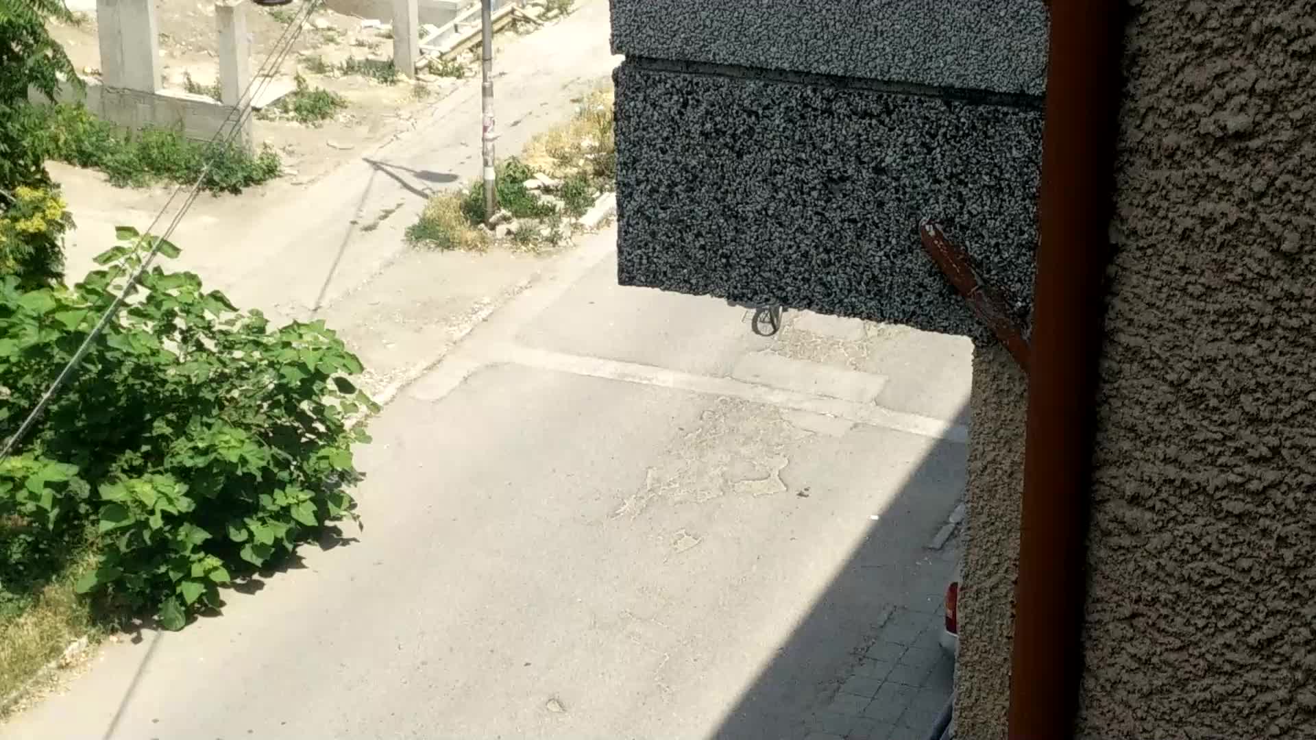 Ромски своеволия