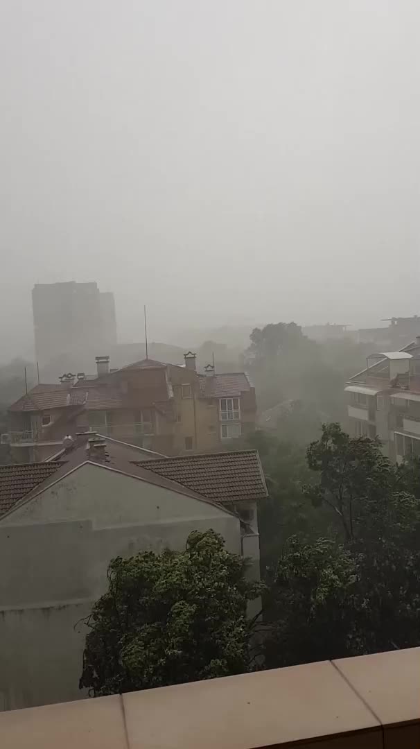 Буря във Видин