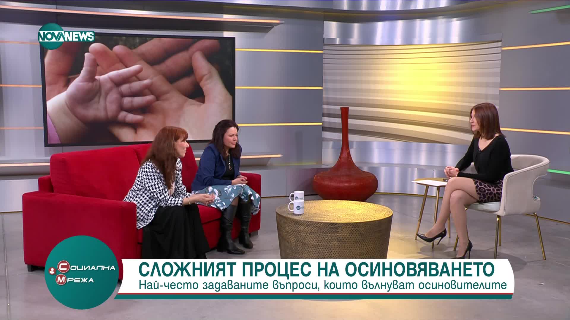 Какви са въпросите, които вълнуват осиновителите