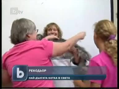 Най Дългата Котка В Света Е 125 см 