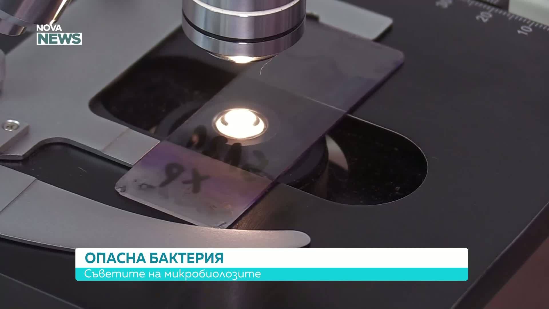 Опасна бактерия в Черно море: Как да се предпазим от Вибрио вълнификус
