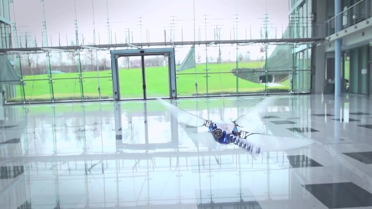 Първото в света роботизирано водно конче - Festo - Bionicopter