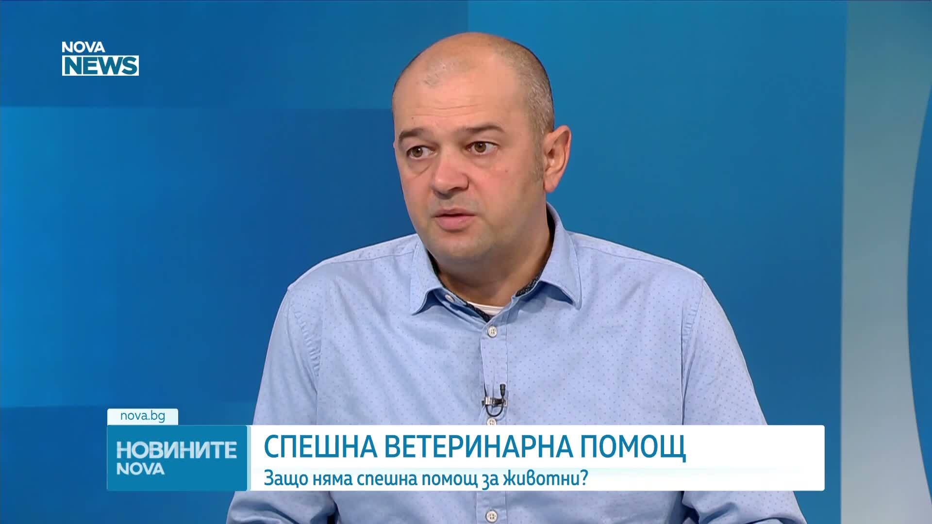 Зачестяват ли случаите на насилие над животни