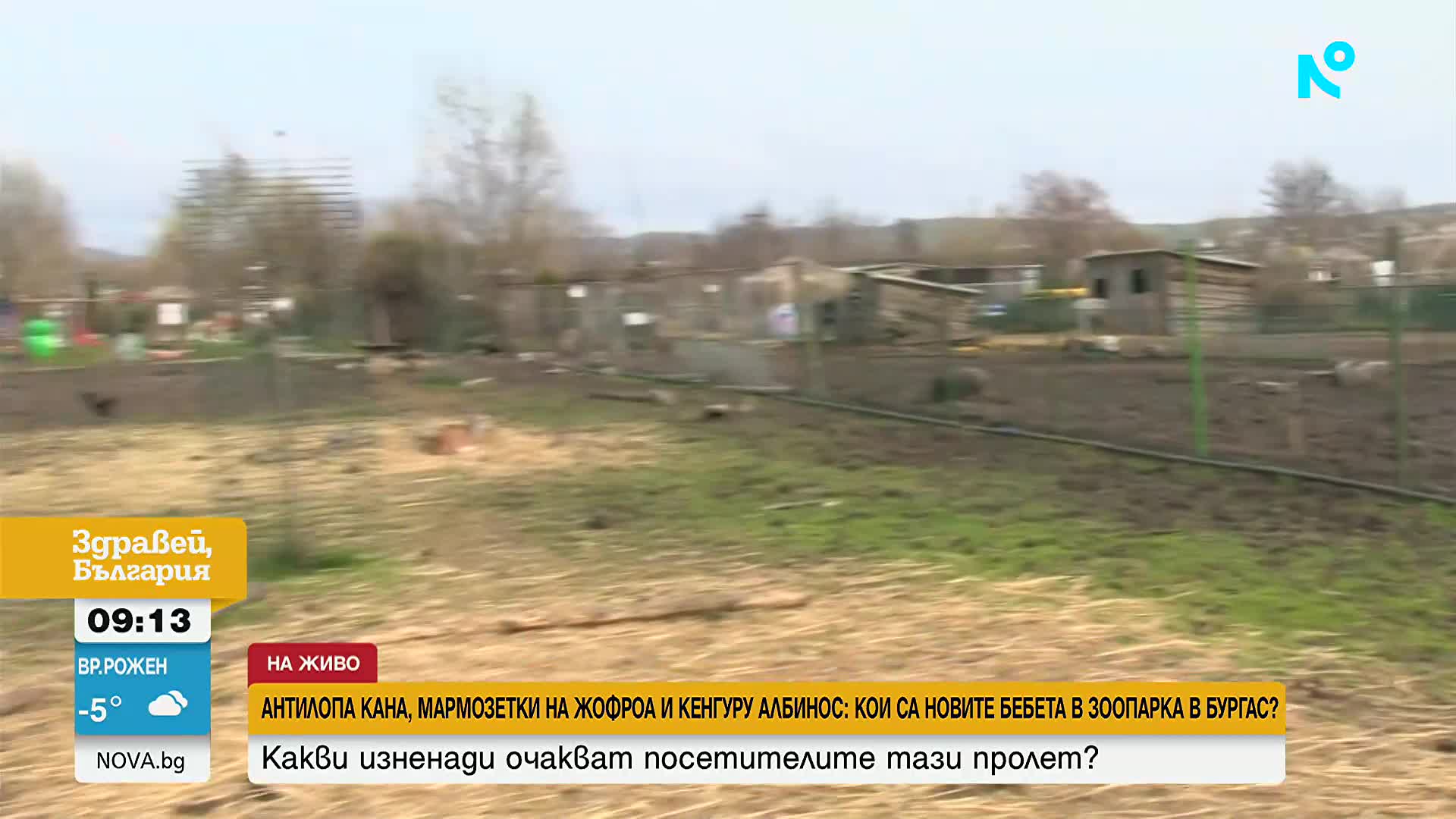 Бебета антилопи, кенгура и маймунки раздват посетителите на зоопарка в Бургас