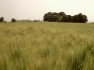 Veer - Zaara - Aisa Des Hai Mera