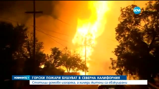 Горски пожари изпепелиха стотици къщи в Калифорния