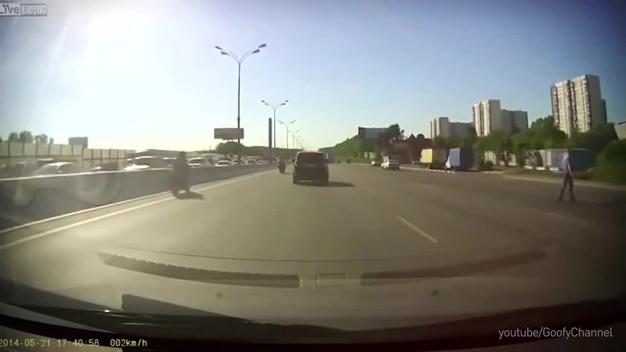 Трогателно! Любовта между хората и животните - Компилация