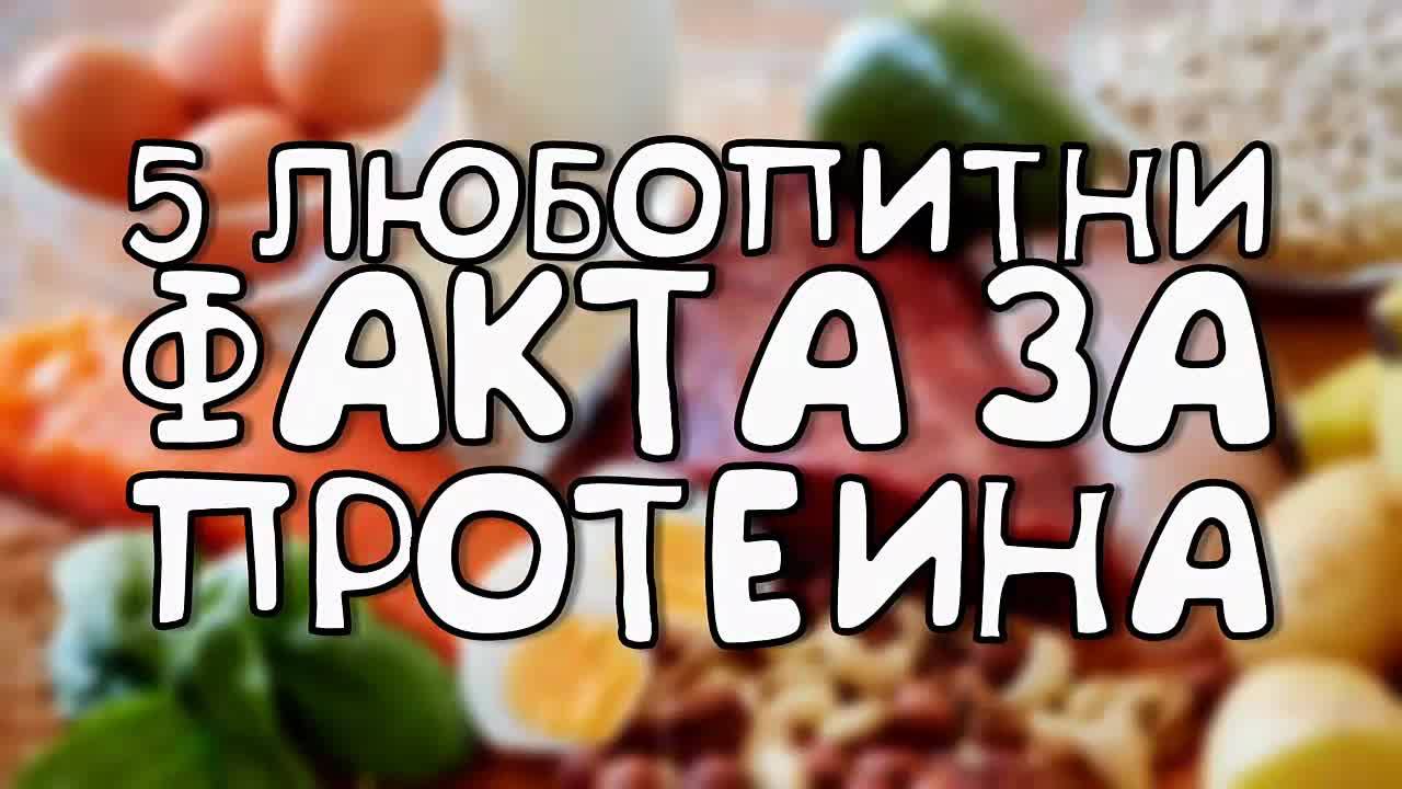 5 любопитни факта за протеина