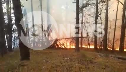 Пожар пламна край Смолян