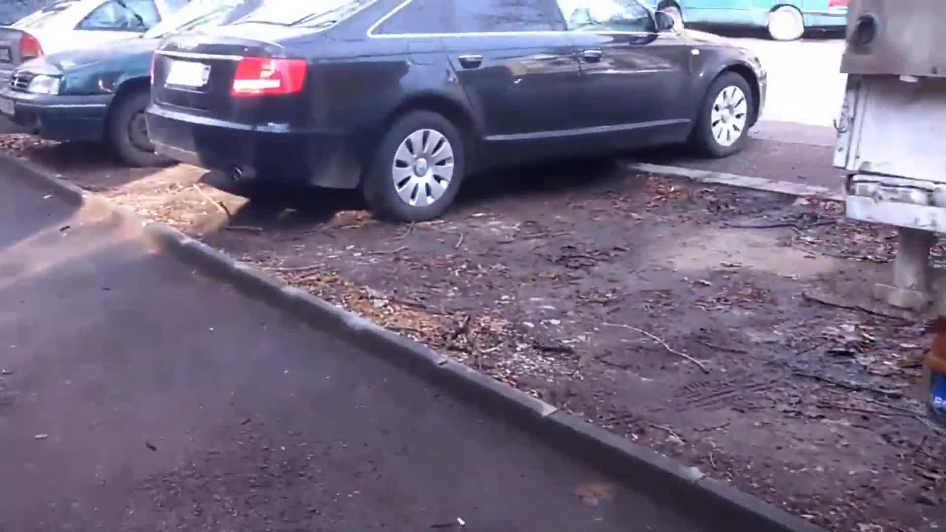 Централна софийска улица