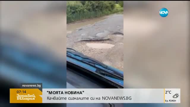 "Моята новина": Никнат гъби от асфалта