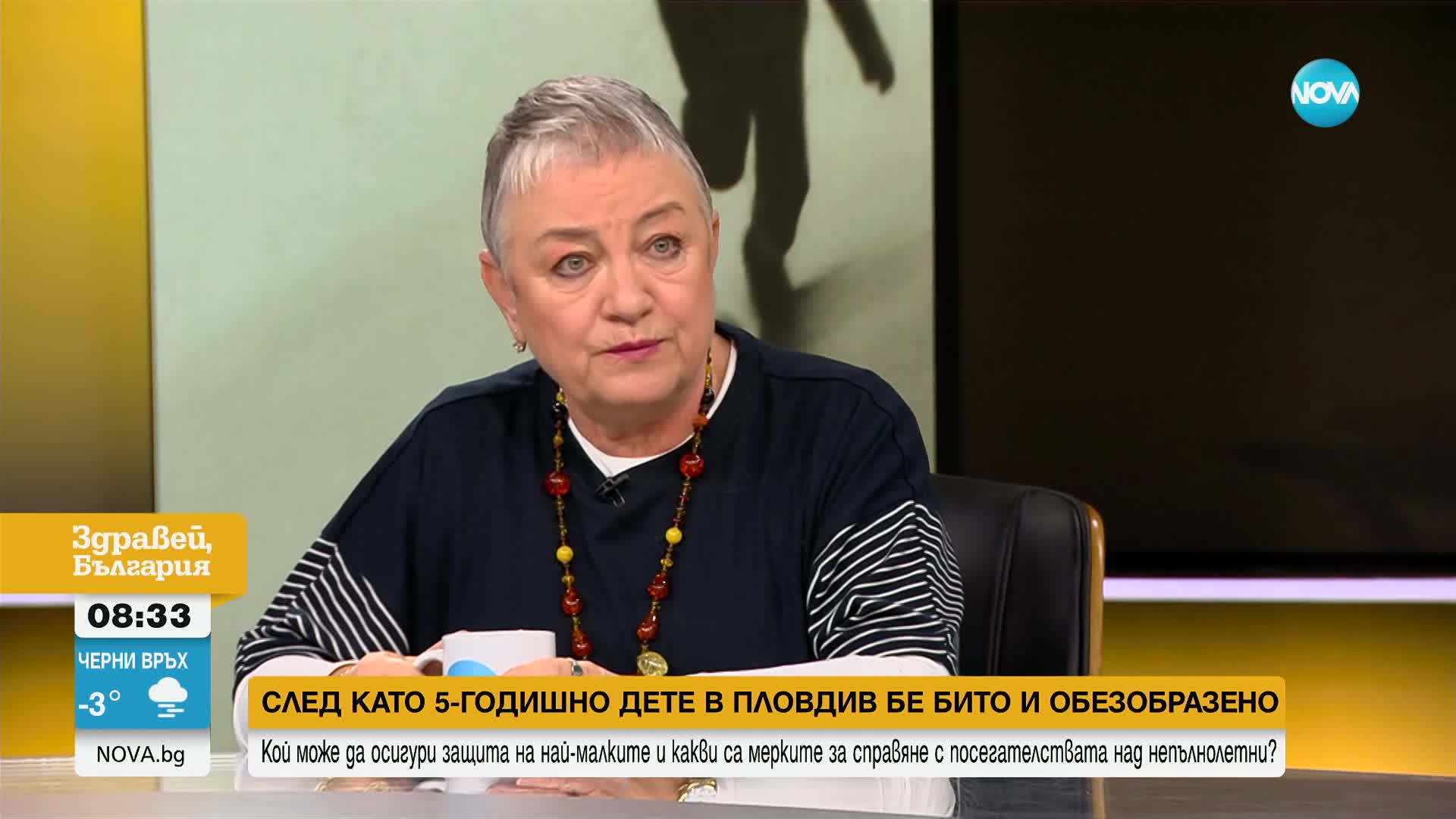 Борбата с насилието над деца: Има ли пропуск в работата на институциите