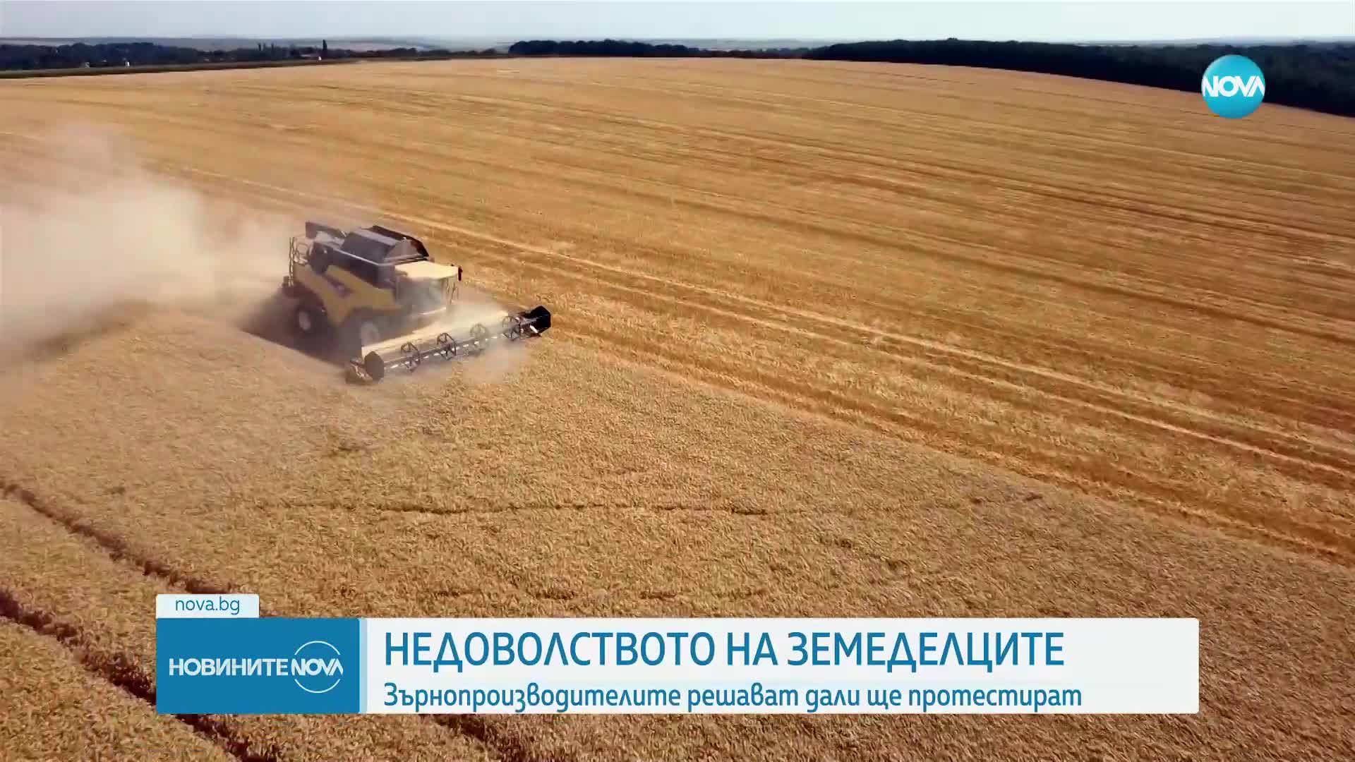 Новините на NOVA (08.10.2024 - следобедна емисия)