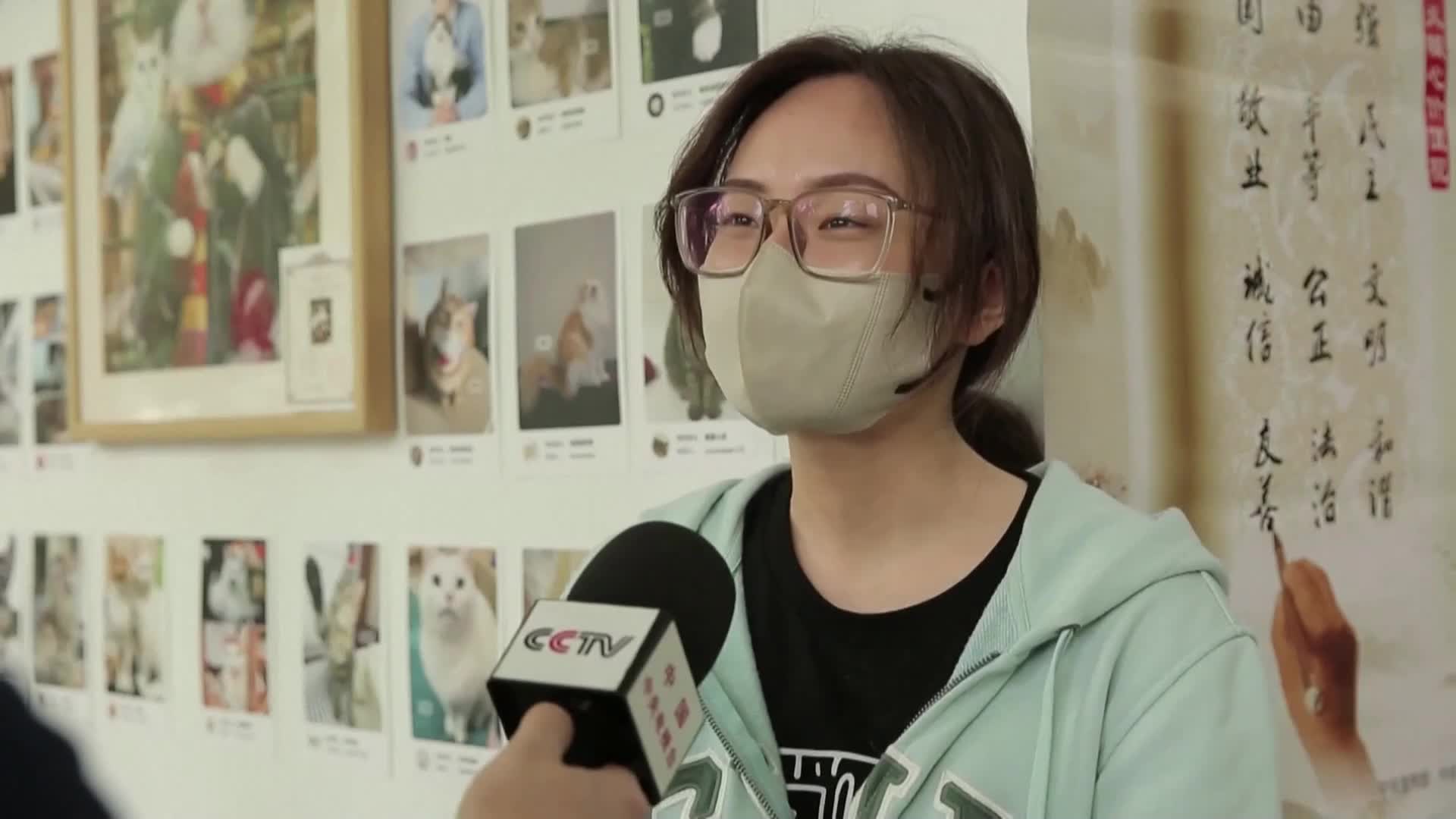 Книжарница в Пекин се превърна в хит сред любителите на котки