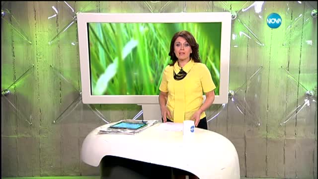 Над 500 са ранените при взрива в дискотека