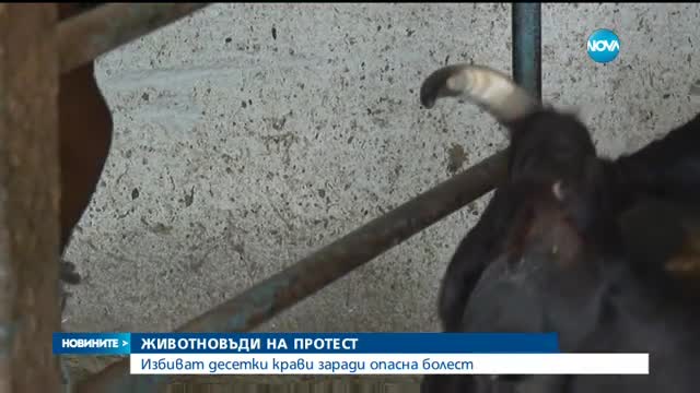 Животновъди на протест