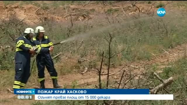 Овладяха пожар, обхванал 15 000 декара в Тополовградско
