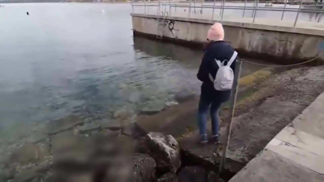 Много смях - Изцепки до дупка