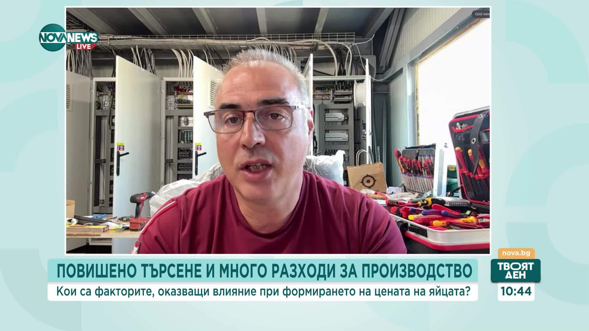 Цените на яйцата – между родното производство и засиления внос