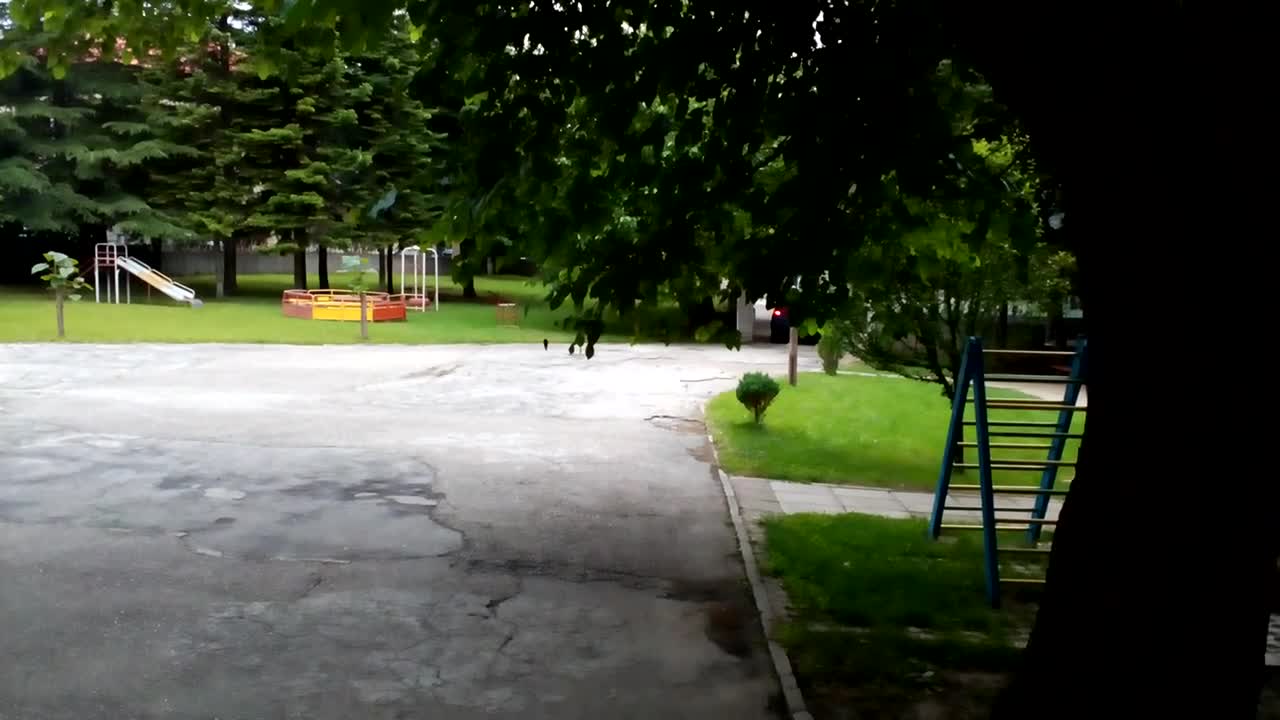 В двора на детската градина