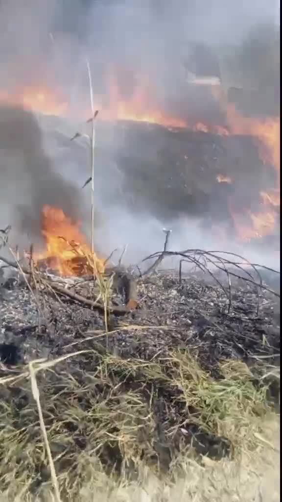 Голям пожар избухна в Пловдивско