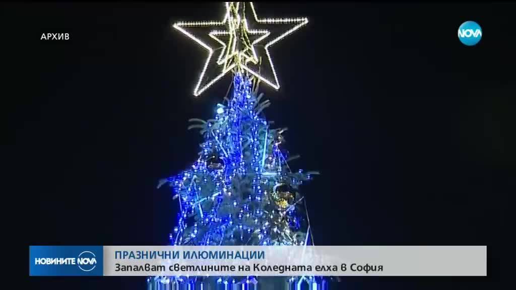 Запалват светлините на коледната елха в София