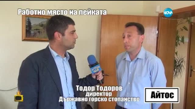 Господарите притиснаха с въпроси шефа на горското в Айтос (03.07.2015)