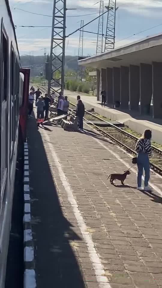 Врата на бърз влак за София падна