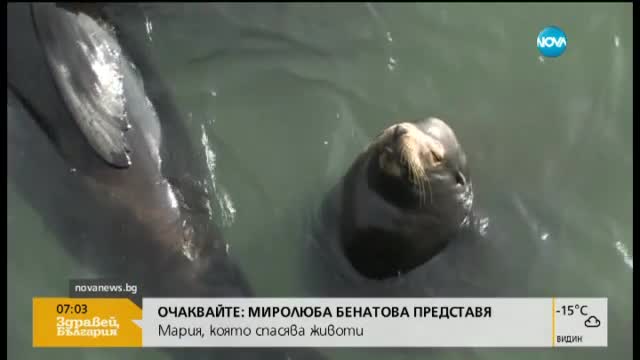До 2050 в океаните ще има повече пластмаса отколкото риба