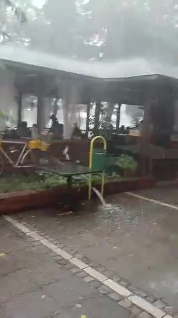 Бурята в Своге