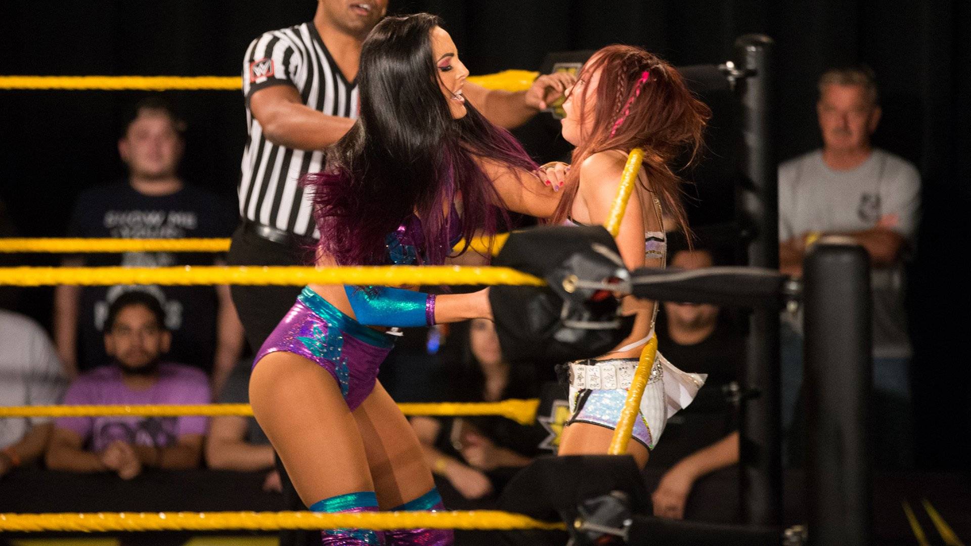 Кейри Сейн срещу Пейтон Роус: WWE NXT, 29 ноември 2017
