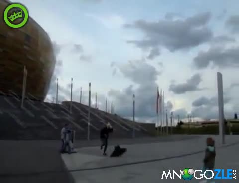 Ястреб напада кутре