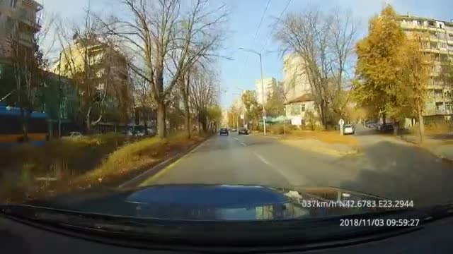 "Моята новина": Самоубиец на пътя!