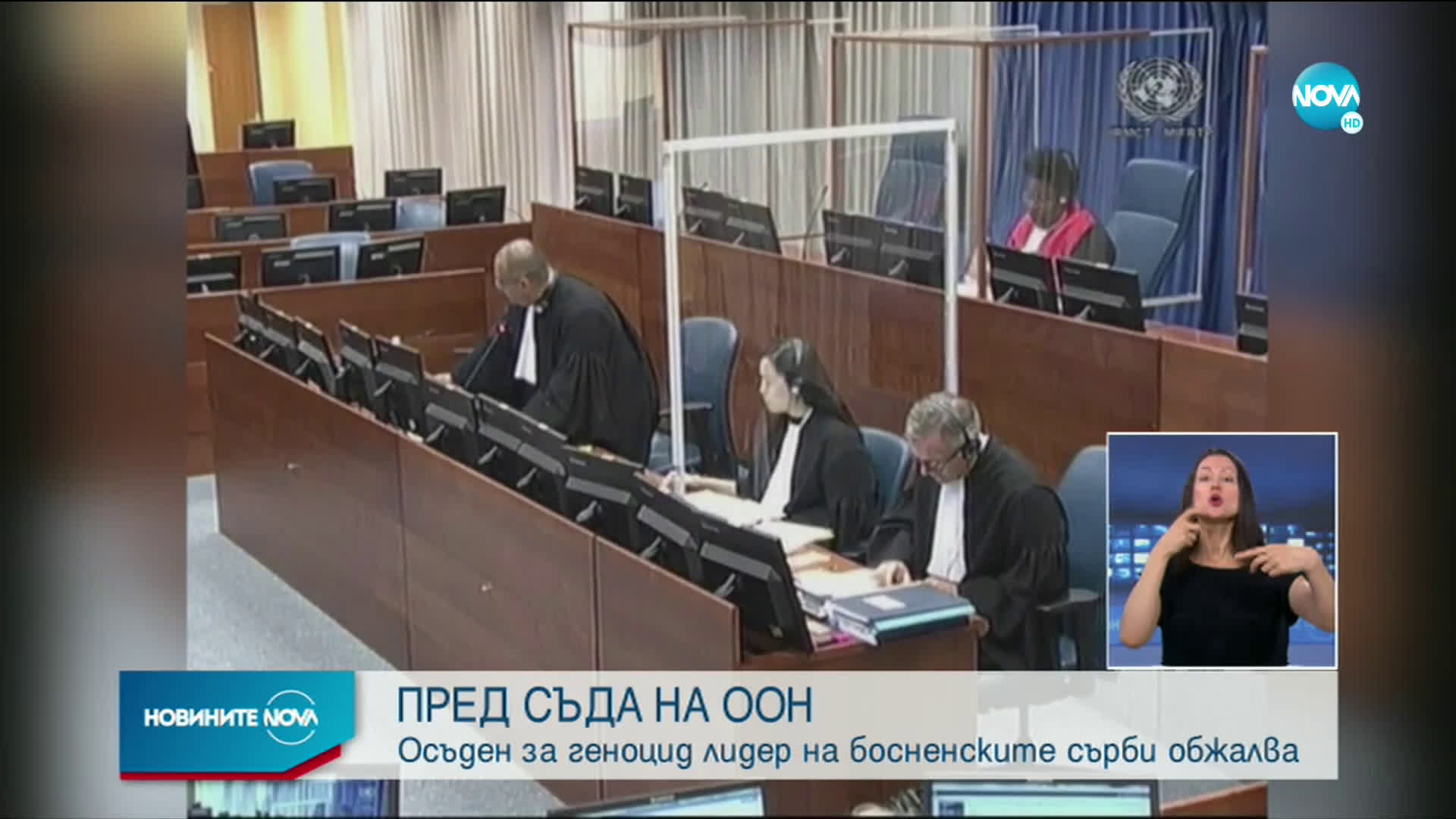 Ратко Младич обжалва доживотната си присъда пред Съда на ООН