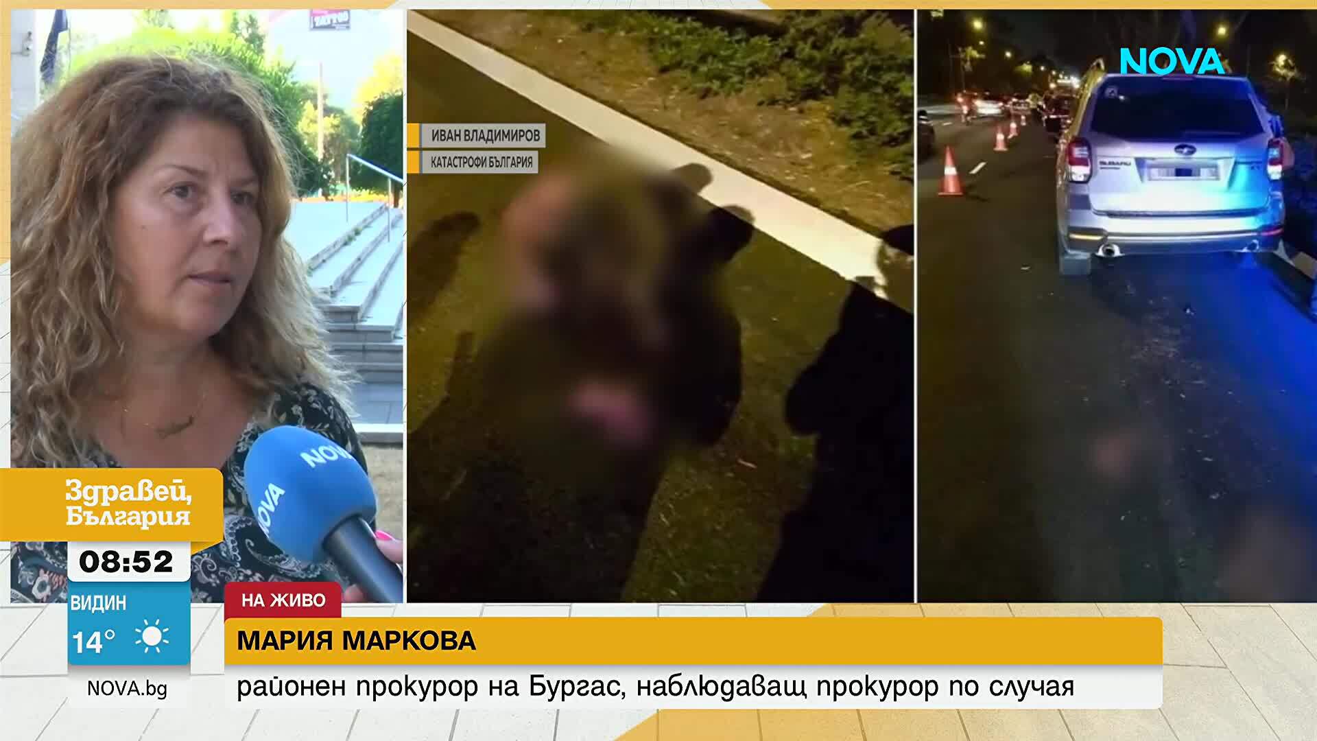 Разследват сложната верижна катастрофа с диво прасе и 12 ранени край Бургас