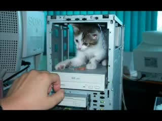 Смъртоносно Смешно!