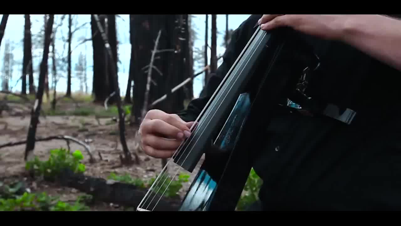 Талантливи момчета свирят песента Titanium (david Guetta ft. Sia)