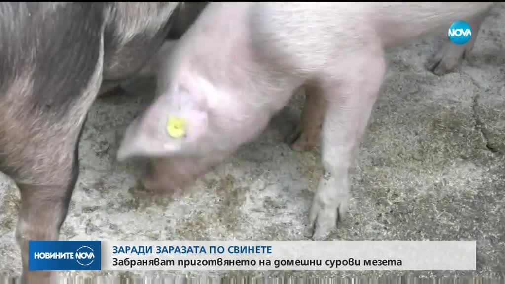 Забраняват приготвянето на домашни мезета заради чумата