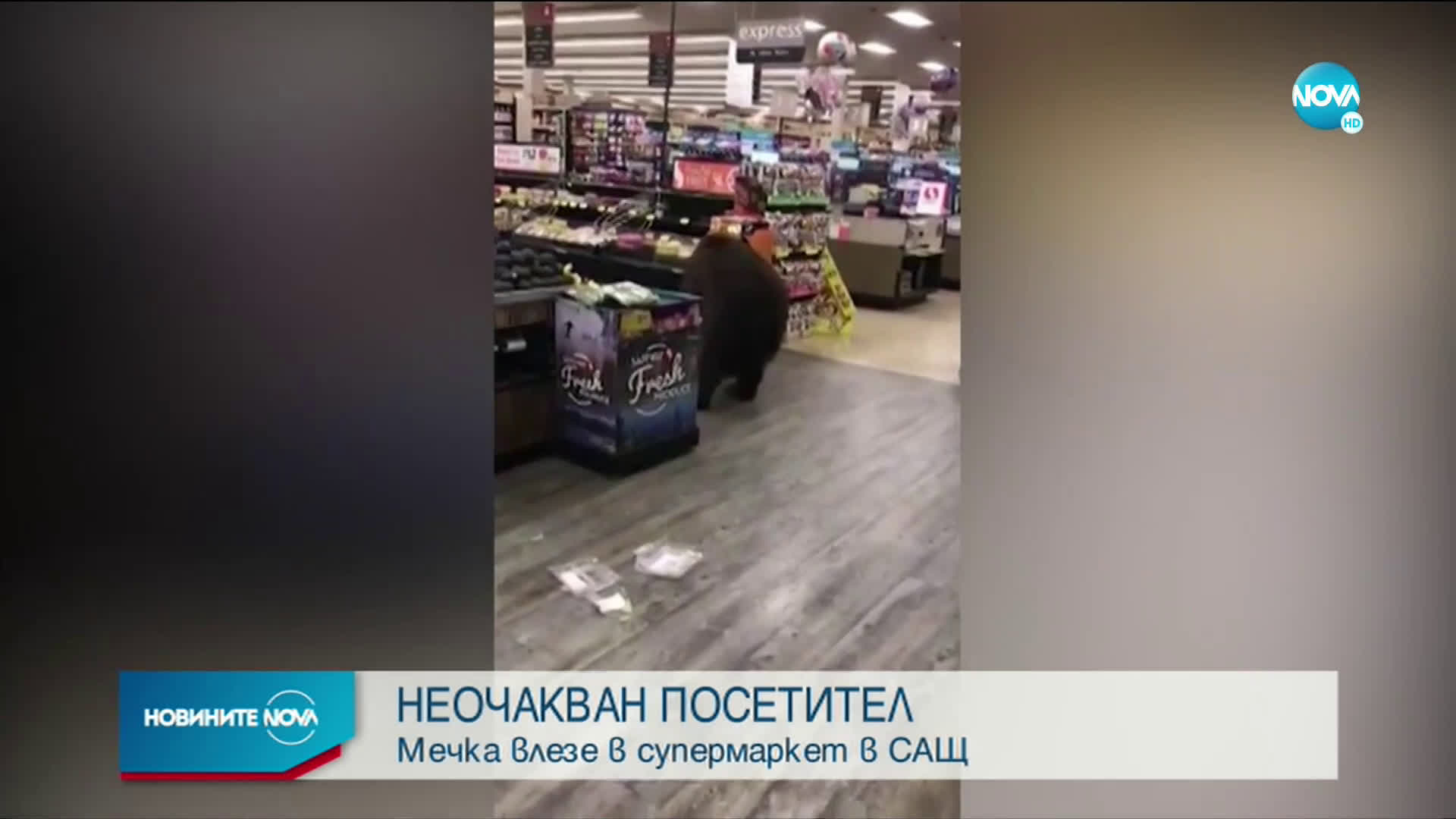 Мечка влезе в супермаркет в Калифорния