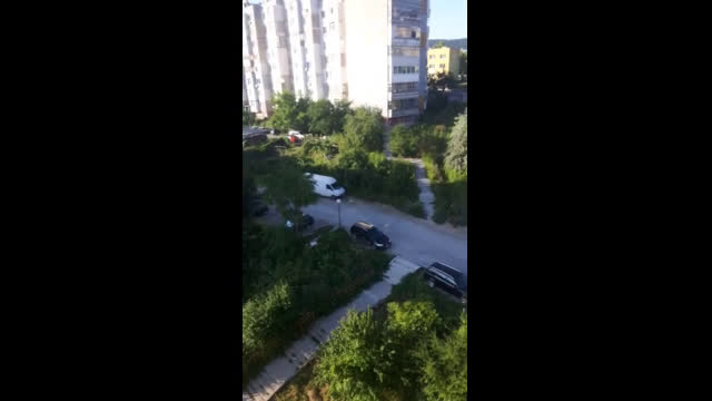 Озеленяване