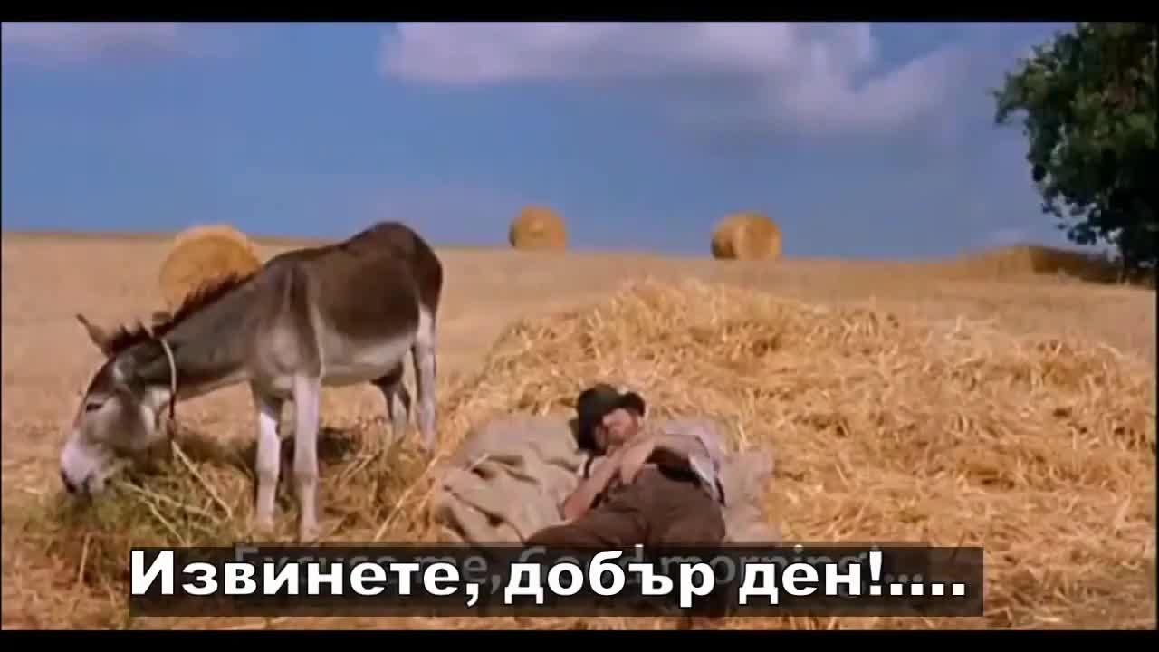 Как разбрахте че е толкова часа само с едно докосване на магарешките топки