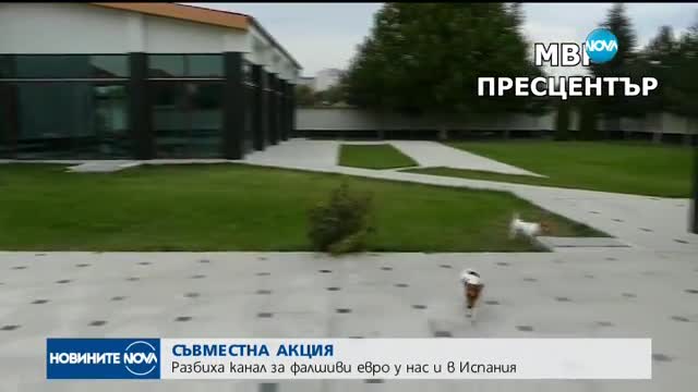 Разбиха международна група за разпространение на фалшиви евро