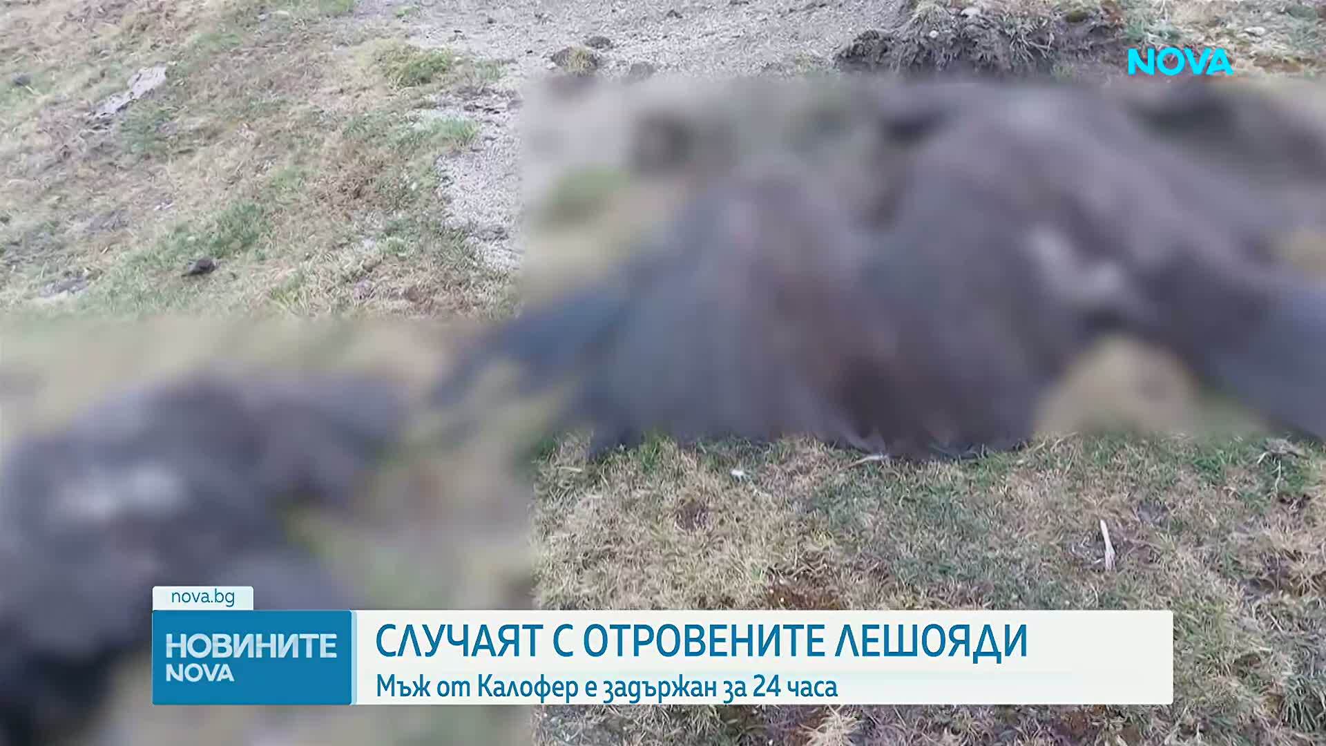 36-годишен мъж е задържан по случая с отровените лешояди