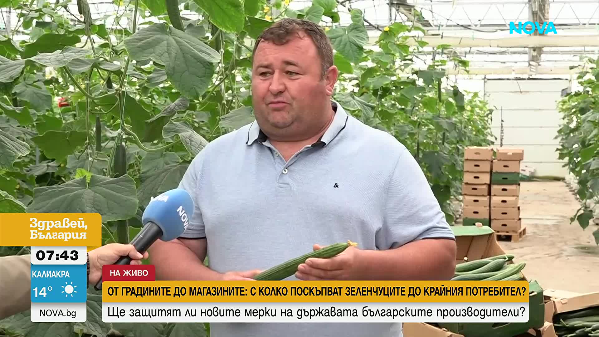 От градините до магазините: С колко поскъпват зеленчуците до крайния потребител?