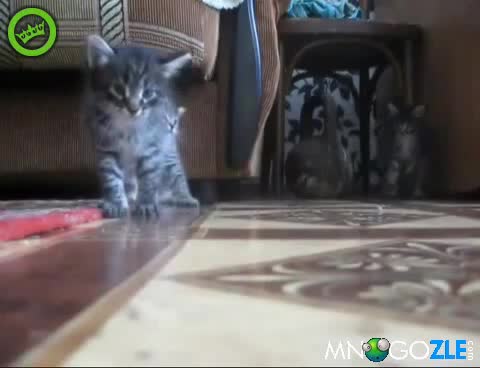 Катастрофа