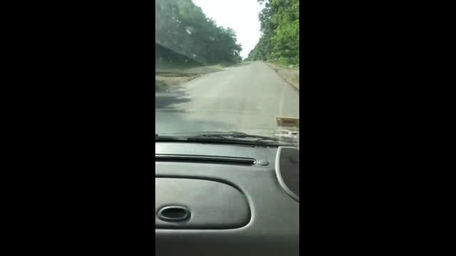 За какво купуваме винетки?