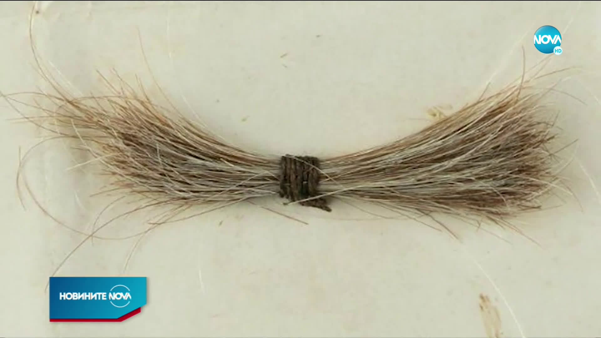 Кичур коса на Линкълн беше продаден на търг за 81 000 долара