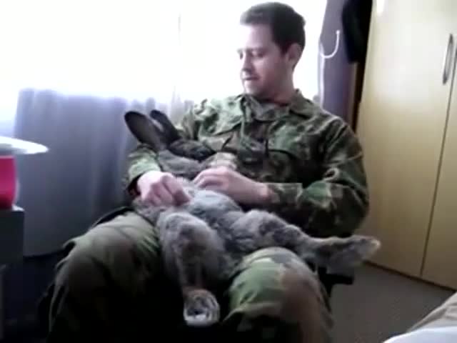 Кой не иска такъв домашен любимец